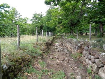 Chemin caladé