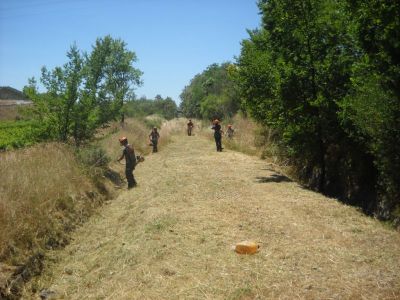Débroussaillage chemin pour communauté de communes
