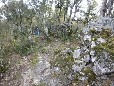 Entretien chemin randonné