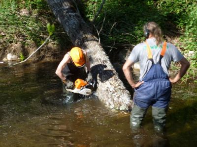 Entretien des rivières en Ardèche