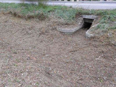Nettoyage / curage de fossé