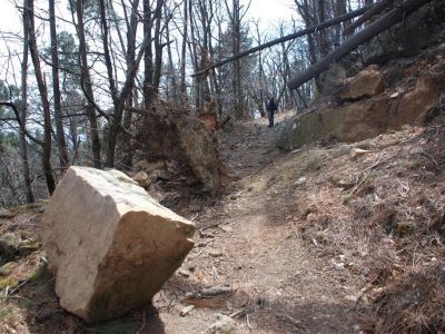 Rocher sur chemin